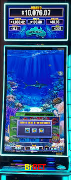 APP oficial da Brbet para mobile